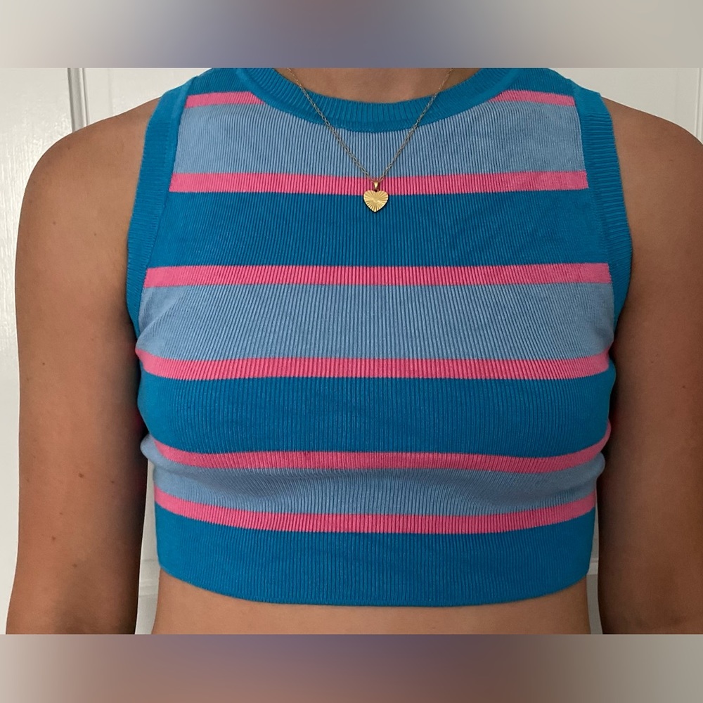 Zara blue and pink high neck cropped tank